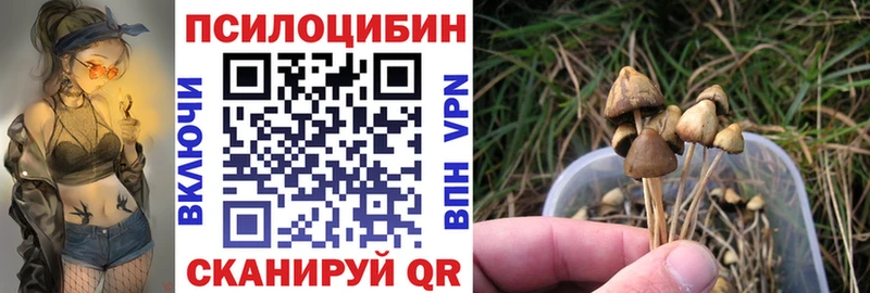купить наркоту  Микунь  блэк спрут сайт  Галлюциногенные грибы прущие грибы 